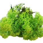 Mech sztuczny 10g *8941*