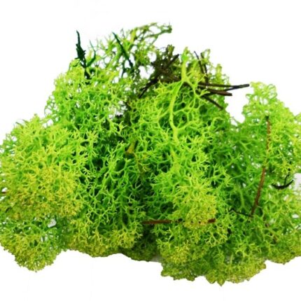 Mech sztuczny 10g *8941*