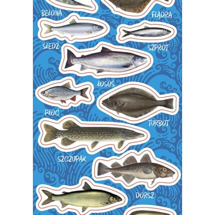 NAKLEJKI PAPIEROWE RYBY BAŁTYCKIE 10160719 wym. blistra 8x15cm*1928*