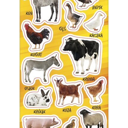 NAKLEJKI PAPIEROWE ZWIERZĘTA DOMOWE 10160704 wym. blistra 8x15cm*1775*
