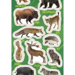 NAKLEJKI PAPIEROWE ZWIERZĘTA LEŚNE 10160703 wym. blistra 8x15cm*1768*