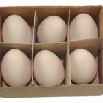 Plastikowe jaja kurze 6cm/6szt WPJ-8927*8927*