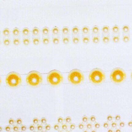 Tasiemka perłowa *0846*0853*