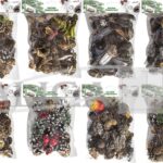 Zestaw świąteczny 120g szyszki naturalne. Mix 8 zestawów *7126*