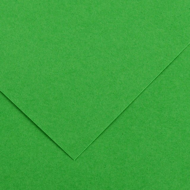Karton-format-A3-zielony-160g.-Opakowanie-100-arkuszy.2123.jpg Karton format A3 zielony 160g. Opakowanie 100 arkuszy.*2123* - obrazek 1