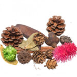 Susz dekoracyjny 30~40g*03731*