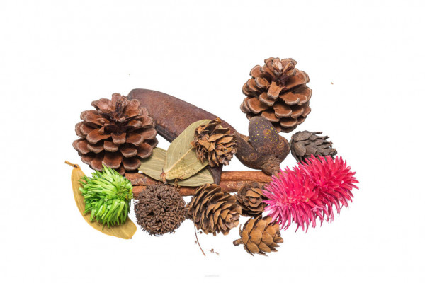 Susz-dekoracyjny-3040g03731-.jpg Susz dekoracyjny 30~40g*03731* - obrazek 1