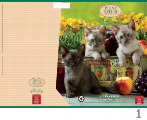 PROMO Zeszyt A5 42 kartki niebieska kratka marginesy papier ekologiczny Pigna Amici mix okładek 0224