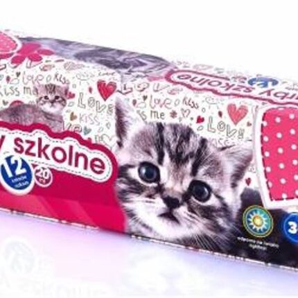 Farby szkolne Kotki 6 kol x 20 ml