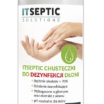 Chusteczki do dezynfekcji dłoni ITSEPTIC, duża tuba, 100szt.