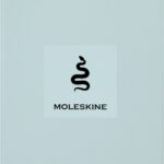 Notes MOLESKINE Snake 2025, L, synt. skóra węża, w linie, 13x21 cm, w pudełku, zielony