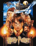 Malowanie po numerach IDEYKA, 40x50cm, metallic, Harry Potter: Plakat, 1 szt.