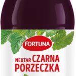 Nektar FORTUNA, czarna porzeczka, szkło, 0,3l (opakowanie 15 szt.)