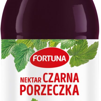 Nektar FORTUNA, czarna porzeczka, szkło, 0,3l (opakowanie 15 szt.)