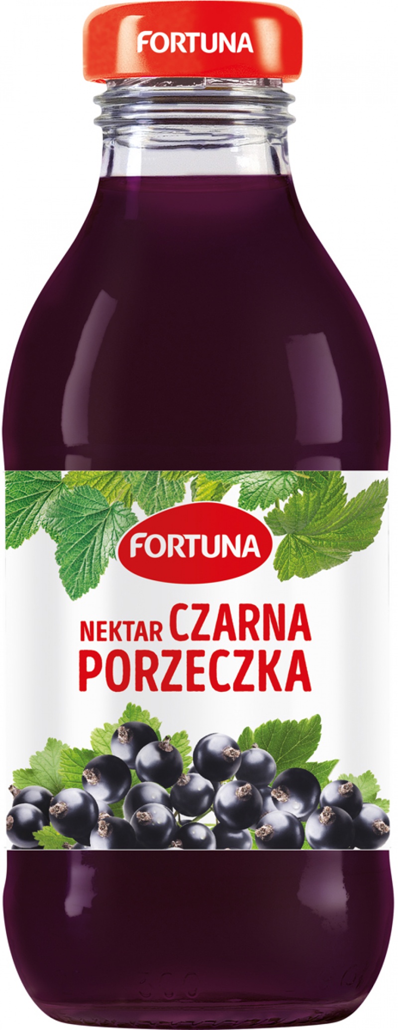 400707-411473-nektar_fortuna_czarna_porzeczka_szklo_0_3l-800w-1 Nektar FORTUNA, czarna porzeczka, szkło, 0,3l (opakowanie 15 szt.) - obrazek 1