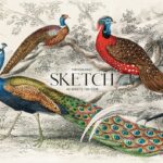 Blok do szkicowania A4+ 40k, "Peacock"