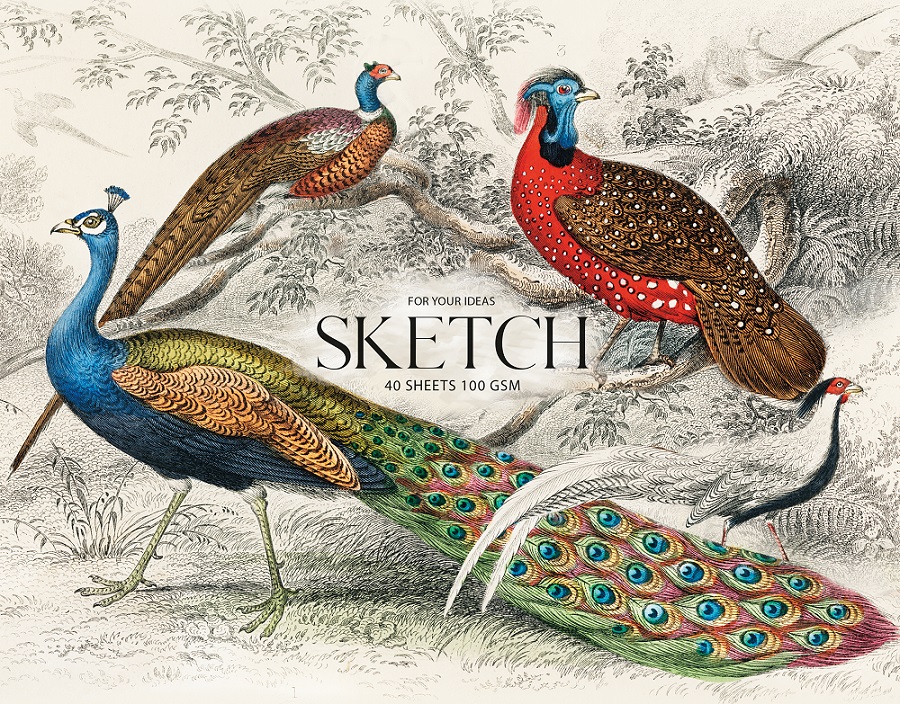 Blok do szkicowania A4+ 40k, "Peacock" Blok do szkicowania A4+ 40k, "Peacock" - obrazek 1