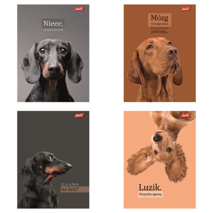 Zeszyt A5 60 kartek krata okładka laminowana lakier miejscowy UV 70 g/m2 DOGGY MOODS