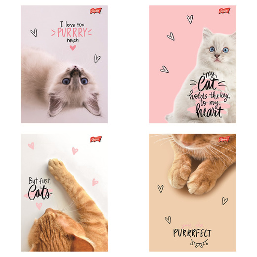 Zeszyt A5 60 kartek krata okładka laminowana lakier miejscowy UV 70 g/m2 PURRFECT MOMENTS Zeszyt A5 60 kartek krata okładka laminowana lakier miejscowy UV 70 g/m2 PURRFECT MOMENTS - obrazek 1