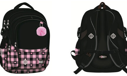 Plecak 4 komorowy 17" BP1 PINK CHECKERED
