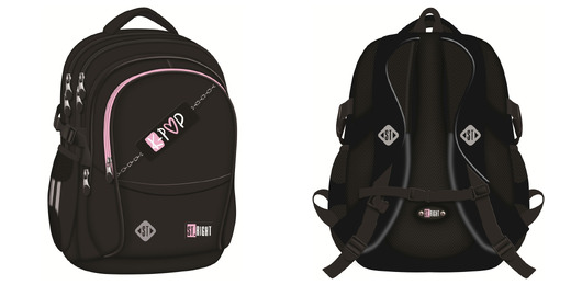 Plecak 4 komorowy 17" BP1 PINK K-POP Plecak 4 komorowy 17" BP1 PINK K-POP - obrazek 1